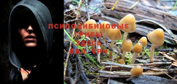 хмурый Балабаново